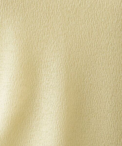 OPAQUE.CLIP / オペーク ドット クリップ カットソー | シアーラウンドネックカットソー【洗濯機洗い可】 | 詳細16