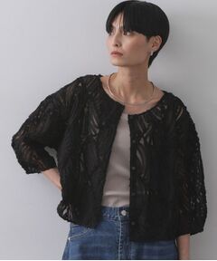 OPAQUE.CLIP / オペーク ドット クリップ シャツ・ブラウス | シアー刺繍レース前開きブラウス【洗濯機洗い可】