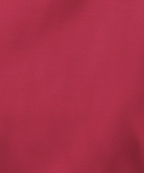 OPAQUE.CLIP / オペーク ドット クリップ シャツ・ブラウス | シアーボリュームスリーブブラウス【洗濯機洗い可】 | 詳細12