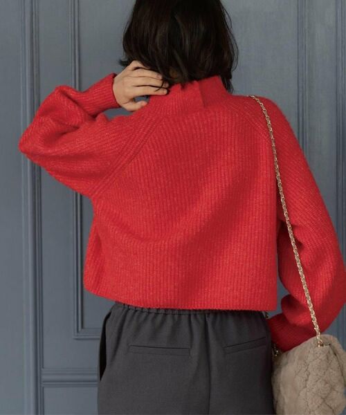 OPAQUE.CLIP / オペーク ドット クリップ ニット・セーター | MIXミドルゲージショートあぜニット【洗濯機OK】 | 詳細21