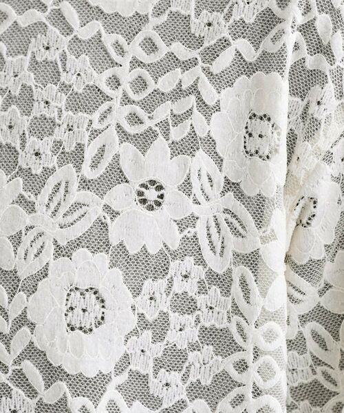 OPAQUE.CLIP / オペーク ドット クリップ ロング・マキシ丈ワンピース | 【es】フロッキーレースロングドレス | 詳細4