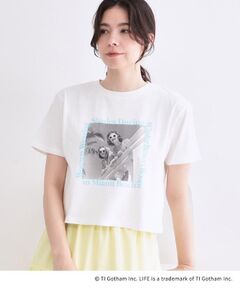 OPAQUE.CLIP / オペーク ドット クリップ Tシャツ | 【LIFE PICTURE COLLECTION】アソートフォトTシャツ