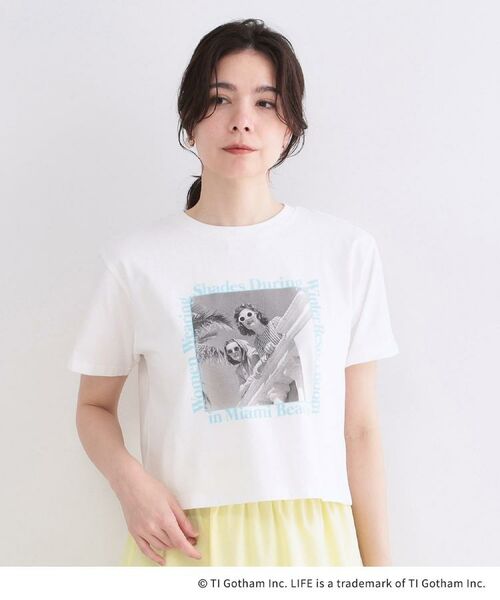 OPAQUE.CLIP / オペーク ドット クリップ Tシャツ | 【LIFE PICTURE COLLECTION】アソートフォトTシャツ | 詳細13