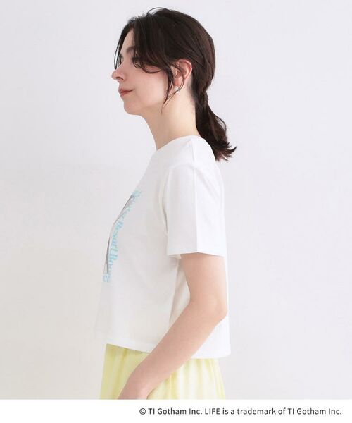 OPAQUE.CLIP / オペーク ドット クリップ Tシャツ | 【LIFE PICTURE COLLECTION】アソートフォトTシャツ | 詳細14