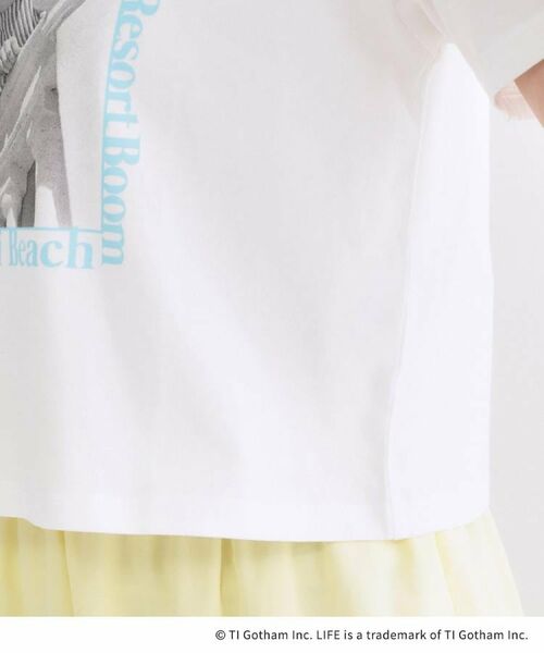 OPAQUE.CLIP / オペーク ドット クリップ Tシャツ | 【LIFE PICTURE COLLECTION】アソートフォトTシャツ | 詳細18