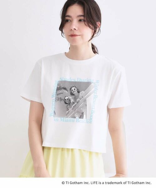 OPAQUE.CLIP / オペーク ドット クリップ Tシャツ | 【LIFE PICTURE COLLECTION】アソートフォトTシャツ（ホワイト(101)）