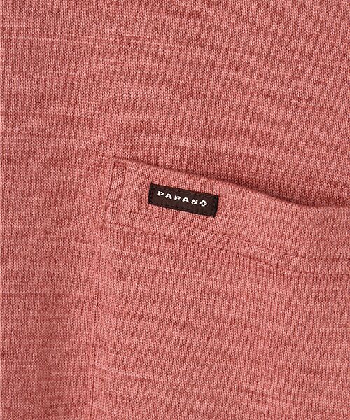 PAPAS / パパス Tシャツ | スペック染め天竺 襟付きTシャツ | 詳細5