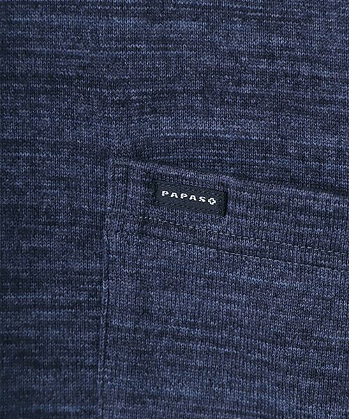 PAPAS / パパス Tシャツ | スペック染め天竺 襟付きTシャツ | 詳細6