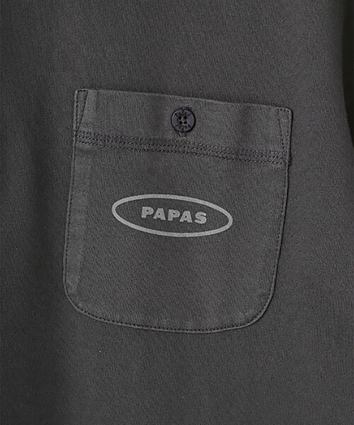 PAPAS / パパス ポロシャツ | 40/2天竺 硫化染め加工ポロシャツ | 詳細2