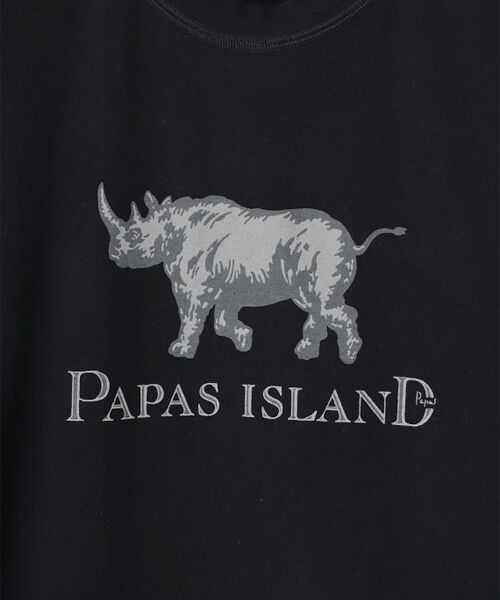 PAPAS / パパス Tシャツ | 【新定番】40/2甘撚天竺 サイプリントTシャツ | 詳細1