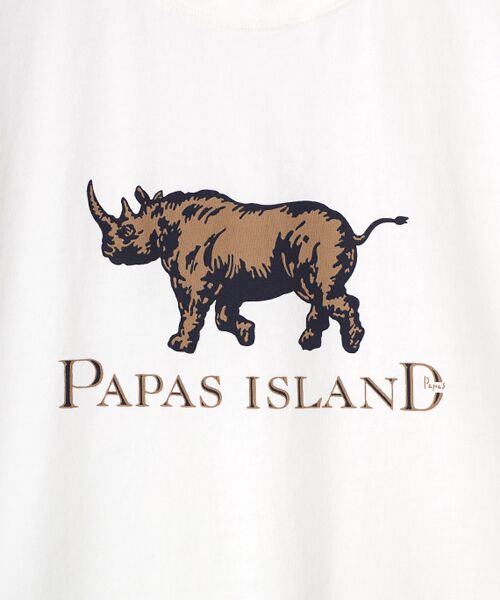 PAPAS / パパス Tシャツ | 【新定番】40/2甘撚天竺 サイプリントTシャツ | 詳細2