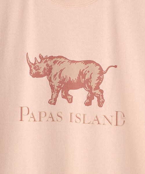 PAPAS / パパス Tシャツ | 【新定番】40/2甘撚天竺 サイプリントTシャツ | 詳細9
