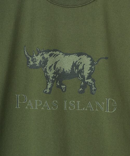 PAPAS / パパス Tシャツ | 【新定番】40/2甘撚天竺 サイプリントTシャツ | 詳細10