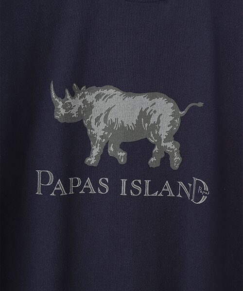 PAPAS / パパス Tシャツ | 【新定番】40/2甘撚天竺 サイプリントTシャツ | 詳細11