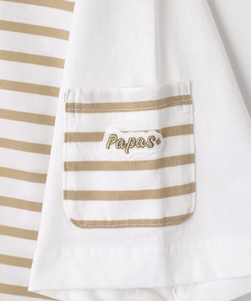 PAPAS / パパス Tシャツ | サイロプレミアム天竺 ボーダーTシャツ | 詳細5