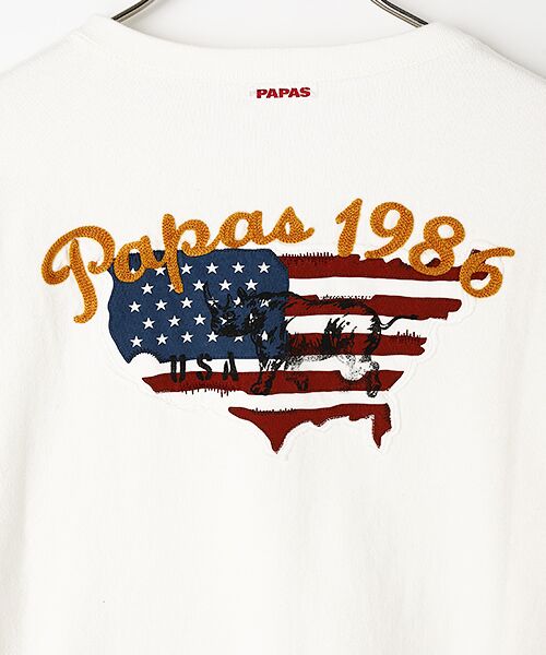 PAPAS / パパス Tシャツ | 星条旗モチーフ ヘンリーネックTシャツ | 詳細1