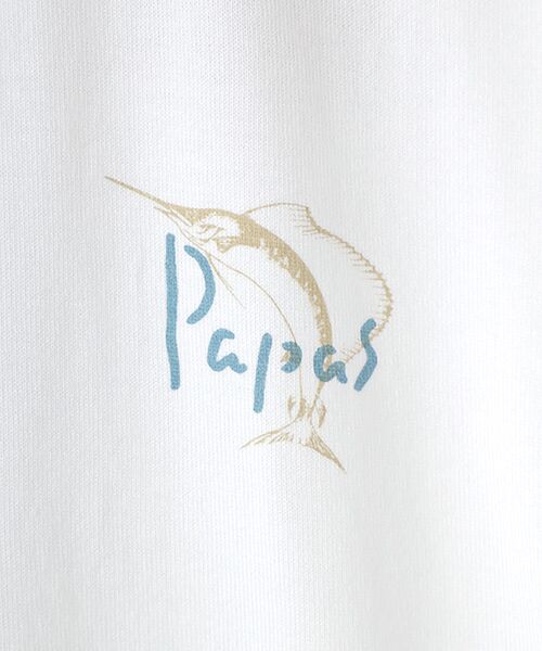 PAPAS / パパス Tシャツ | 30/2スーピマ甘撚り天竺プリントTシャツ【江ノ電路線図】 | 詳細1