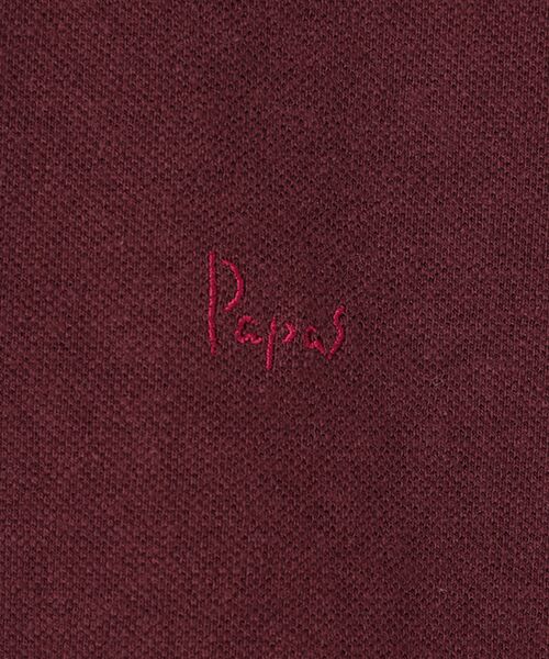 PAPAS / パパス Tシャツ | ラフィ起毛 鹿の子ヘンリーネックTシャツ | 詳細2