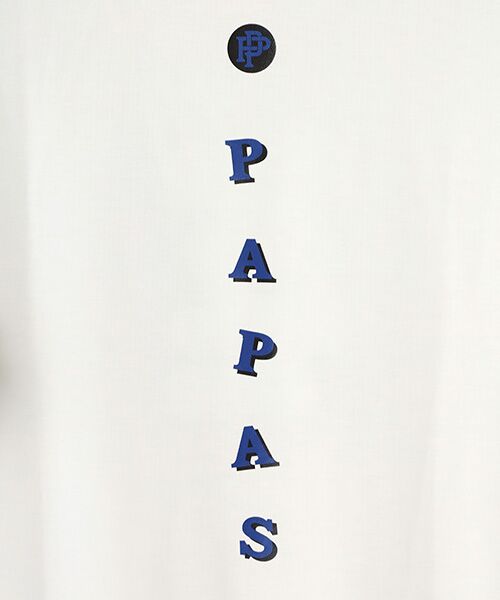 PAPAS / パパス Tシャツ | 裏メッシュダブルジャージ モックネックTシャツ | 詳細2