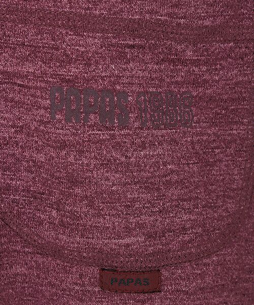 PAPAS / パパス Tシャツ | インディゴ調天竺 ヘンリーネックTシャツ | 詳細1