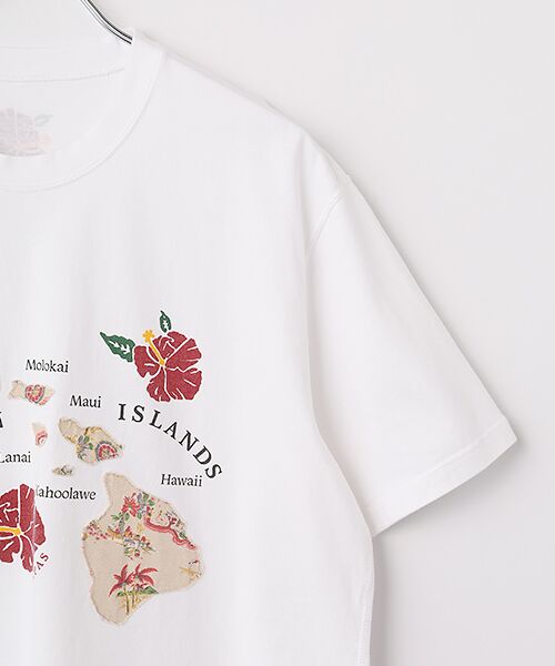 PAPAS / パパス Tシャツ | 40/2天竺 ハワイアンプリント 半袖Tシャツ | 詳細2