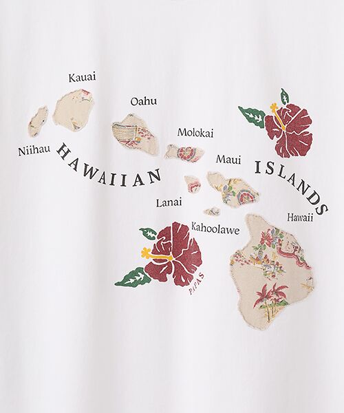 PAPAS / パパス Tシャツ | 40/2天竺 ハワイアンプリント 半袖Tシャツ | 詳細5