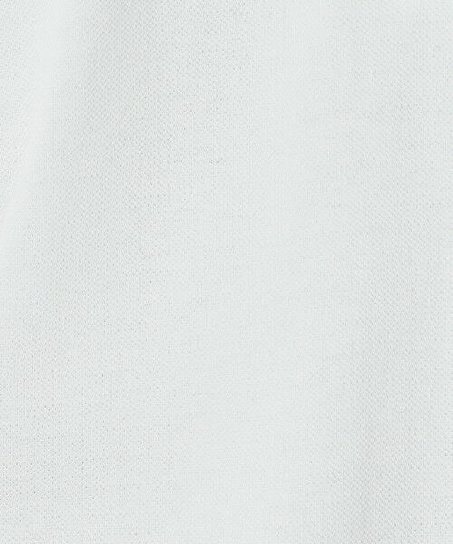 Paul Stuart / ポール・スチュアート カットソー | コットンカノコハーフジップポロシャツ（ZIPポロ） | 詳細15
