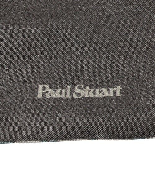 Paul Stuart / ポール・スチュアート マフラー・ショール・スヌード・ストール | ピラミディオンスカーフ | 詳細6