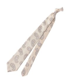 Paul Stuart / ポール・スチュアート ネクタイ | 【Nikkei magazine掲載】ネクタイ/ペイズリー柄