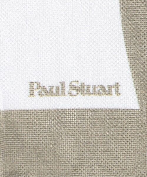 Paul Stuart / ポール・スチュアート マフラー・ショール・スヌード・ストール | 【Nikkei magazine掲載】【ウォッシャブル】ストリームシルクストール | 詳細5