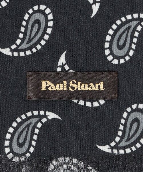 Paul Stuart / ポール・スチュアート マフラー・ショール・スヌード・ストール | 【Nikkei magazine掲載】ミニストール/ペイズリー柄 | 詳細1
