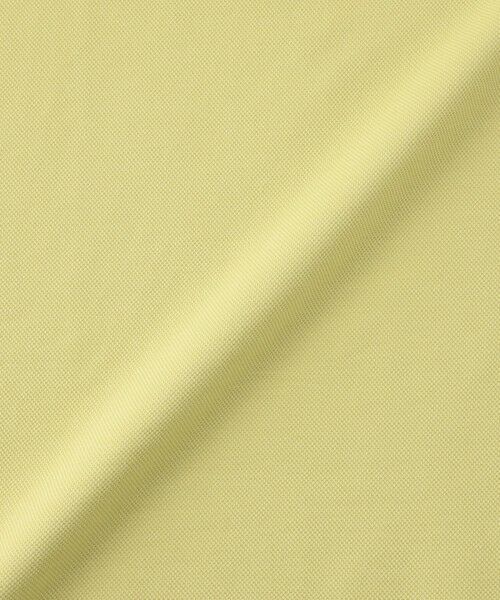 Paul Stuart / ポール・スチュアート カットソー | 鹿の子カッタウェイポロシャツ | 詳細23