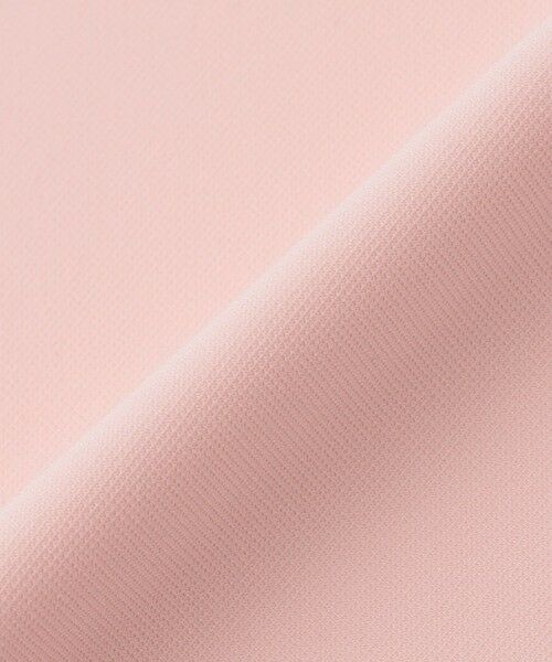 Paul Stuart / ポール・スチュアート カットソー | 【吸水速乾/UVカット】襟裏ロゴジャカードカラーポロシャツ（GOLF） | 詳細12