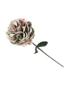 Paul Stuart / ポール・スチュアート アクセサリー | アートフラワー