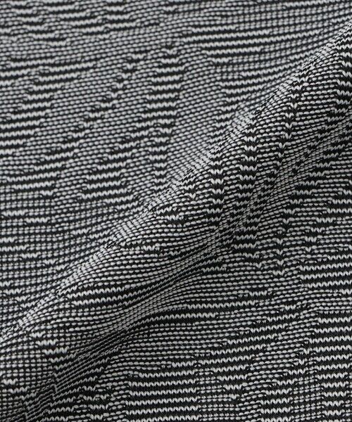 Paul Stuart / ポール・スチュアート カットソー | 【吸水速乾】マイクロボーダーポロシャツ（GOLF） | 詳細9