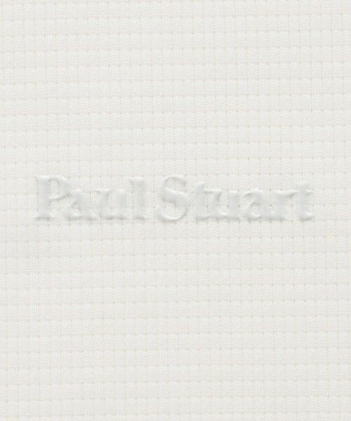 Paul Stuart / ポール・スチュアート カットソー | 【GOLF】メッシュハーフジップ半袖Ｔシャツ | 詳細9