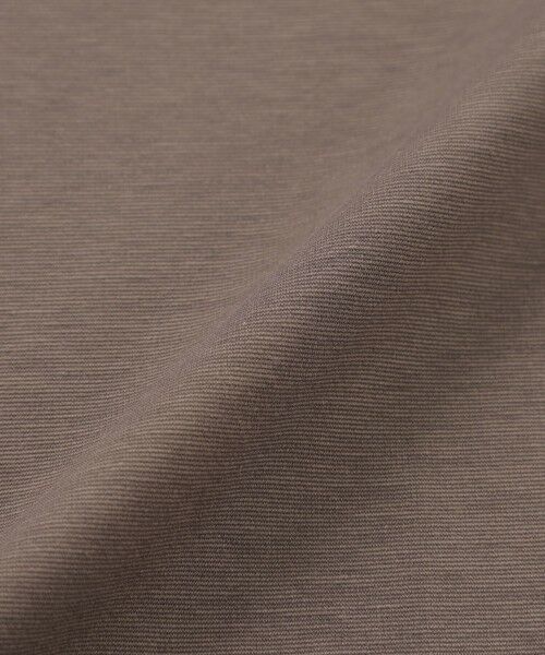 Paul Stuart / ポール・スチュアート カットソー | 【ウォッシャブル/接触冷感/UV対策】コンパクトポンチ　プルオーバー | 詳細13