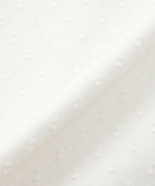 Paul Stuart / ポール・スチュアート シャツ・ブラウス | 【ウォッシャブル】カットジョーゼット/フィンリーフライス　ブラウス | 詳細10