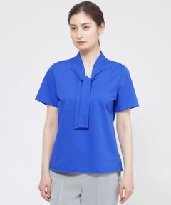 Paul Stuart / ポール・スチュアート カットソー | 【WEB・一部店舗限定/ウォッシャブル】コンパクトドライジャージ　プルオーバー