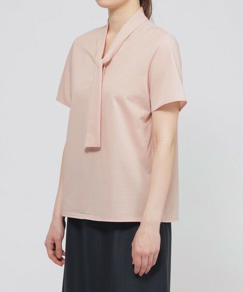 Paul Stuart / ポール・スチュアート カットソー | 【WEB・一部店舗限定/ウォッシャブル】コンパクトドライジャージ　プルオーバー | 詳細6