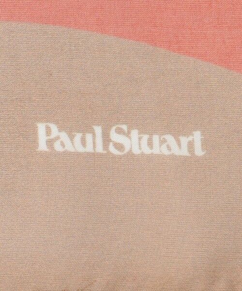 Paul Stuart / ポール・スチュアート マフラー・ショール・スヌード・ストール | 【ウォッシャブル】ジオメシルクストール | 詳細4