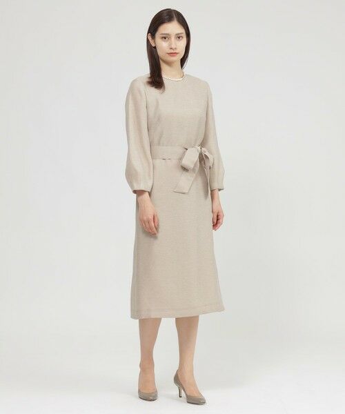 Paul Stuart / ポール・スチュアート ロング・マキシ丈ワンピース | 【ウォッシャブル】シアーオーガンジージャガード　ワンピース | 詳細1