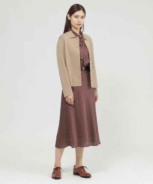 Paul Stuart / ポール・スチュアート シャツ・ブラウス | 【eclat掲載】【ウォッシャブル】ラインドット　ブラウス | 詳細5