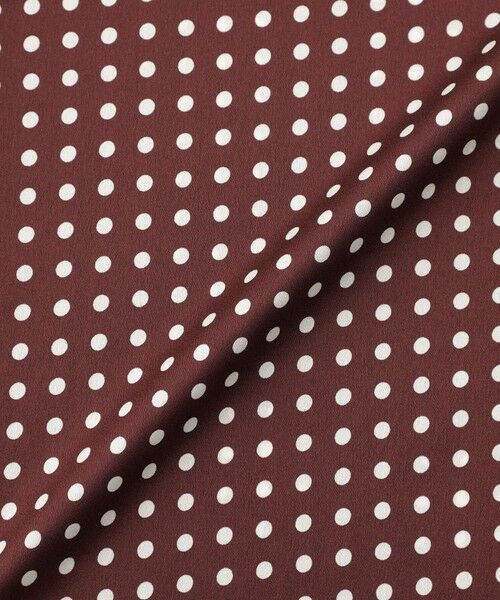 Paul Stuart / ポール・スチュアート シャツ・ブラウス | 【eclat掲載】【ウォッシャブル】ラインドット　ブラウス | 詳細12