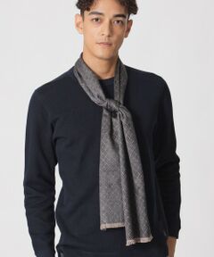 Paul Stuart / ポール・スチュアート マフラー・ショール・スヌード・ストール | シルクスフレストール/パケ柄