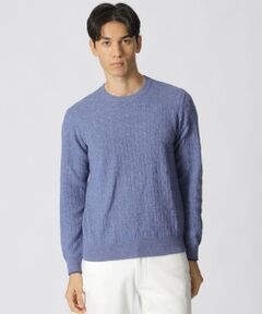 Paul Stuart / ポール・スチュアート ニット・セーター | 【WEB・一部店舗限定】ミニケーブル柄クルーネックセーター