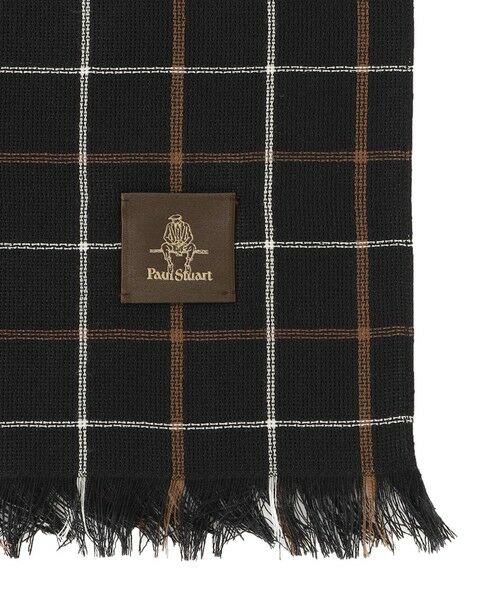 Paul Stuart / ポール・スチュアート マフラー・ショール・スヌード・ストール | 【COLLECTION LINE】ウールシルクストール | 詳細2
