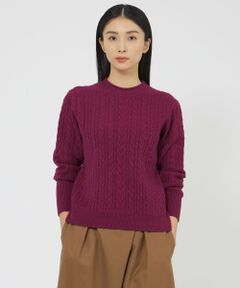 Paul Stuart / ポール・スチュアート ニット・セーター | ウールカシミヤケーブル　プルオーバー