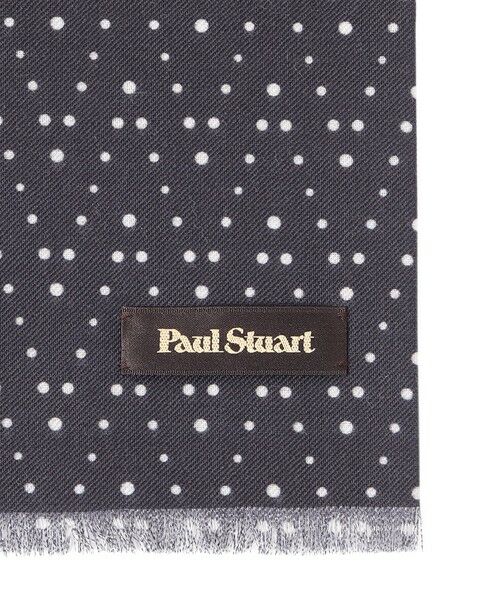 Paul Stuart / ポール・スチュアート マフラー・ショール・スヌード・ストール | ランダムドット柄プリント　ミニストール | 詳細1