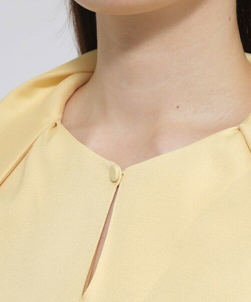 Paul Stuart / ポール・スチュアート シャツ・ブラウス | 【ウォッシャブル/防しわ性】バックサテンジョーゼット　ブラウス | 詳細8